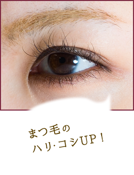 まつ毛のハリ・コシUP!